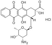 Chlorhydrate d’idarubicine